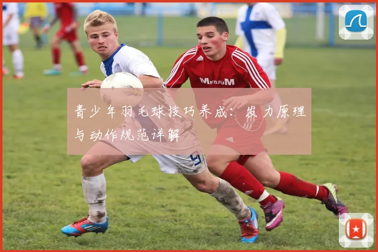 青少年羽毛球技巧养成：发力原理与动作规范详解